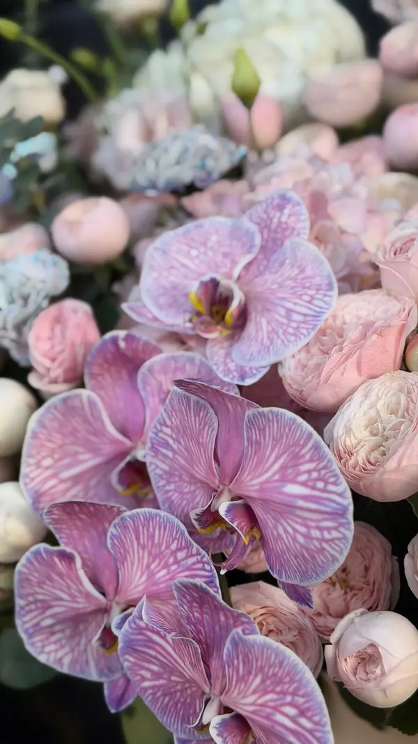 Sadbarg Flowers Boutique